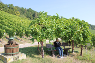 Obersulmer WeinErlebnispfad im Zeilberg | HeilbronnerLand | © Gemeinde Obersulm