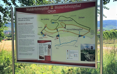 Obersulmer WeinErlebnispfad im Zeilberg | HeilbronnerLand | © Gemeinde Obersulm
