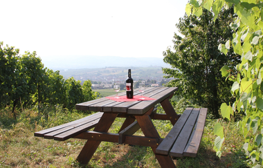 Obersulmer WeinErlebnispfad im Zeilberg | HeilbronnerLand | © Obersulmer WeinErlebnispfad im Zeilberg | HeilbronnerLand