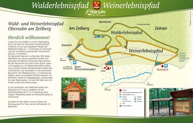 Walderlebnispfad Eichswald | Obersulm | HeilbronnerLand | © Gemeinde Obersulm