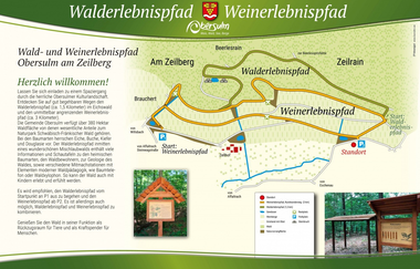 Walderlebnispfad Eichswald | Obersulm | HeilbronnerLand | © Gemeinde Obersulm