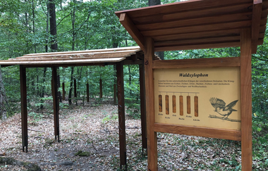 Waldxylophon am Walderlebnispfad Obersulm | HeilbronnerLand | © Gemeinde Obersulm