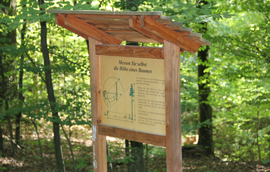 Baummessung am Walderlebnispfad Obersulm | HeilbronnerLand | © Gemeinde Obersulm