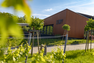 Weingut Klumpp in Bruchsal Außenfassade | © Weingut Klumpp