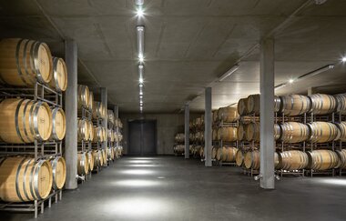 Barriquekeller des Weingut Klumpp in Bruchsal | © Daniel Vieser