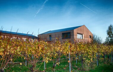 Wein & Architektur im Nördlichen Baden-Württemberg | © Weingut Albrecht-Kiessling