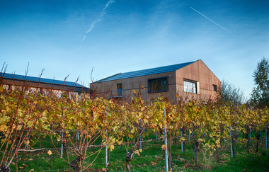 Wein & Architektur im Nördlichen Baden-Württemberg | © Weingut Albrecht-Kiessling