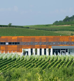 Wein & Architektur im Weinsüden | © Schwarzwald Tourismus GmbH