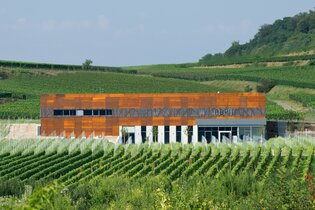 Wein & Architektur im Weinsüden