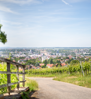 Wein Panorama Weg Heilbronn | © Heilbronn Marketing GmbH