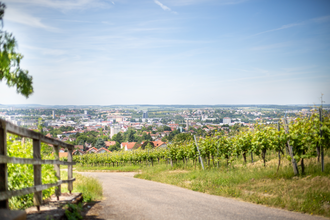 Wein Panorama Weg Heilbronn | © Heilbronn Marketing GmbH