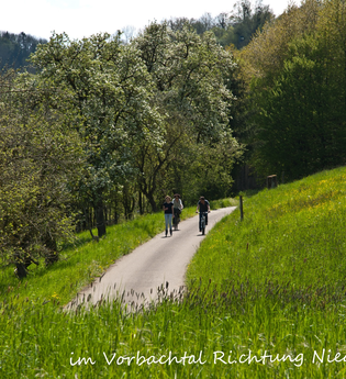 Wein-Radreise 1. Etappe: Hohenloher Idylle | © Liebliches Taubertal