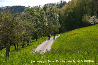 Wein-Radreise 1. Etappe: Hohenloher Idylle | © Liebliches Taubertal