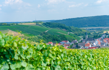 Wein-Radreise 4. Etappe: Gesundheit und Wein | © Liebliches Taubertal