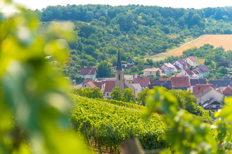 Wine cycling trip 4th stage: Health and wine | © Liebliches Taubertal