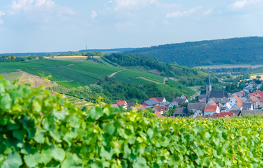 Wein-Radreise 4. Etappe: Gesundheit und Wein | © Liebliches Taubertal