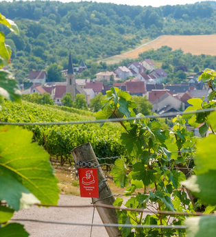 Wein-Radreise 5. Etappe: Wein im Rotsandstein | © Liebliches Taubertal