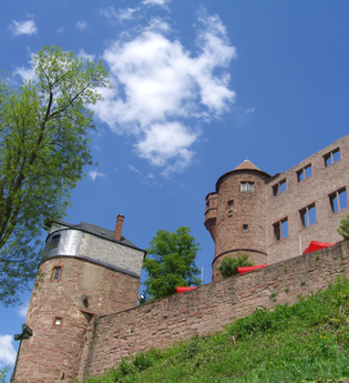 Wein-Radreise 7. Etappe: Zu den Mainburgen | © Sabine Münch