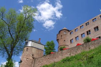 Wein-Radreise 7. Etappe: Zu den Mainburgen | © Sabine Münch