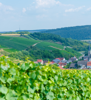 Wein-Radreise Taubertal | © Liebliches Taubertal