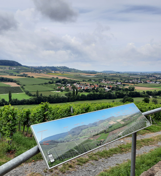 Weite Ausblick von Aussichtspunkt am Ranzenberg | © Touristikgemeinschaft Hohenlohe e.V. | Hohenloher Perlen