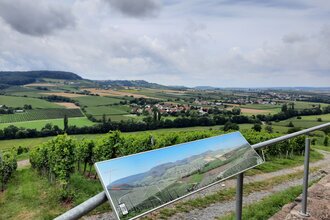 Weite Ausblick von Aussichtspunkt am Ranzenberg | © Touristikgemeinschaft Hohenlohe e.V. | Hohenloher Perlen