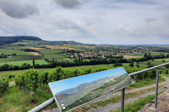 Weite Ausblick von Aussichtspunkt am Ranzenberg | © Touristikgemeinschaft Hohenlohe e.V. | Hohenloher Perlen