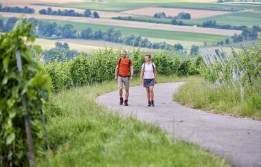 Wandernde auf Wanderweg im Weinberg | © Touristikgemeinschaft Hohenlohe e. V. | Florian Trykowski