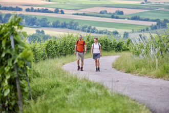 Wandernde auf Wanderweg im Weinberg | © Touristikgemeinschaft Hohenlohe e. V. | Florian Trykowski