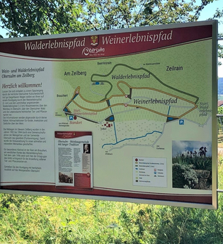 Obersulmer WeinErlebnispfad im Zeilberg | HeilbronnerLand | © Gemeinde Obersulm