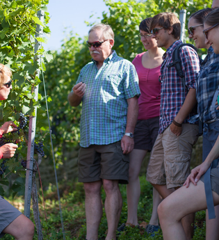 Weinerlebnistour Steillagen | Lauffen a.N. | HeilbronnerLand | © Touristikgemeinschaft HeilbronnerLand