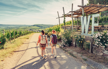 Weinausschank im Zweifelberg | Weinsüden Weinort Brackenheim | HeilbronnerLand | © Touristikgemeinschaft HeilbronnerLand