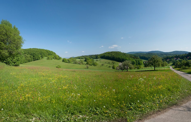 Weinheim-Odenwald-Tour | © Landratsamt Rhein-Neckar-Kreis