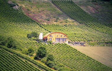 Ingelfinger Fass in den Kochertaler Weinbergen | © Touristikgemeinschaft Hohenlohe e. V. | Andi Schmid