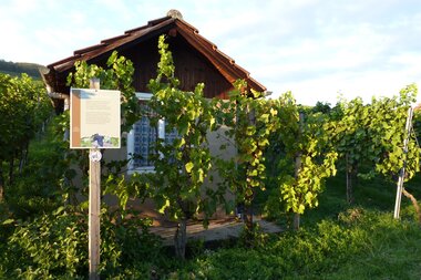 © Land der 1000 Hügel - Kraichgau-Stromberg