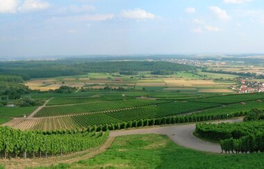 Weinlehrpfad Horrheim | © Land der 1000 Hügel - Kraichgau-Stromberg