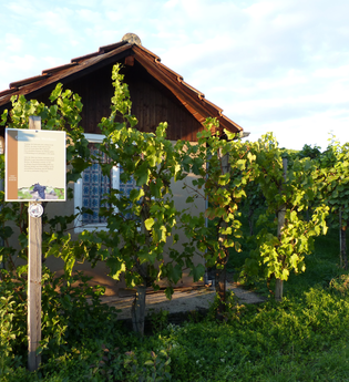 Weinlehrpfad Horrheim | © Land der 1000 Hügel - Kraichgau-Stromberg