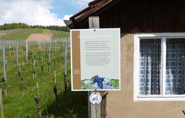 Weinlehrpfad Horrheim | © Land der 1000 Hügel - Kraichgau-Stromberg