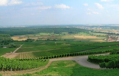 Weinlehrpfad Horrheim | © Land der 1000 Hügel - Kraichgau-Stromberg
