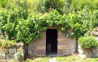 Weinlehrpfad Horrheim | © Land der 1000 Hügel - Kraichgau-Stromberg