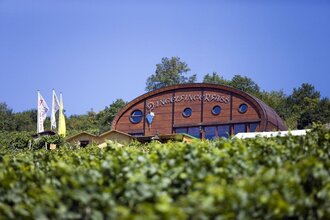 Am Weinlehrpfad liegt das in den Weinbergen liegende Ingelfinger Fass | © Touristikgemeinschaft Hohenlohe e. V. | Achim Mende
