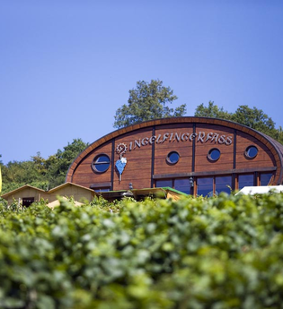 Am Weinlehrpfad liegt das in den Weinbergen liegende Ingelfinger Fass | © Touristikgemeinschaft Hohenlohe e. V. | Achim Mende