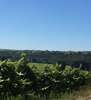 Weinlehrpfad Krautheim-Klepsau | © Touristikgemeinschaft Hohenlohe, Künzelsau / Marion Schlund