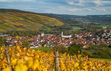 Weinlehrpfad Markelsheim