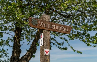 Weinlehrpfad Markelsheim