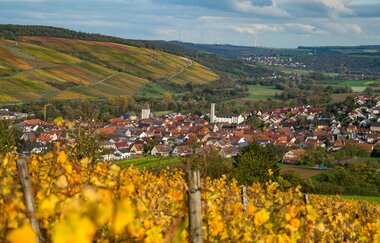 Weinlehrpfad Markelsheim