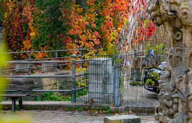 Weinlehrpfad Markelsheim
