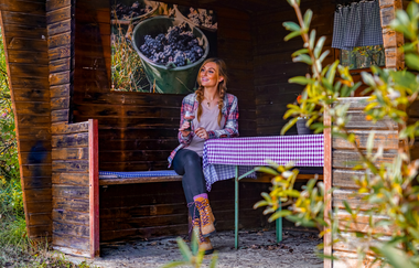 Weinlehrpfad Markelsheim