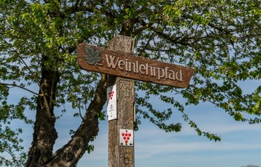 Weinlehrpfad Markelsheim