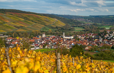 Weinlehrpfad Markelsheim